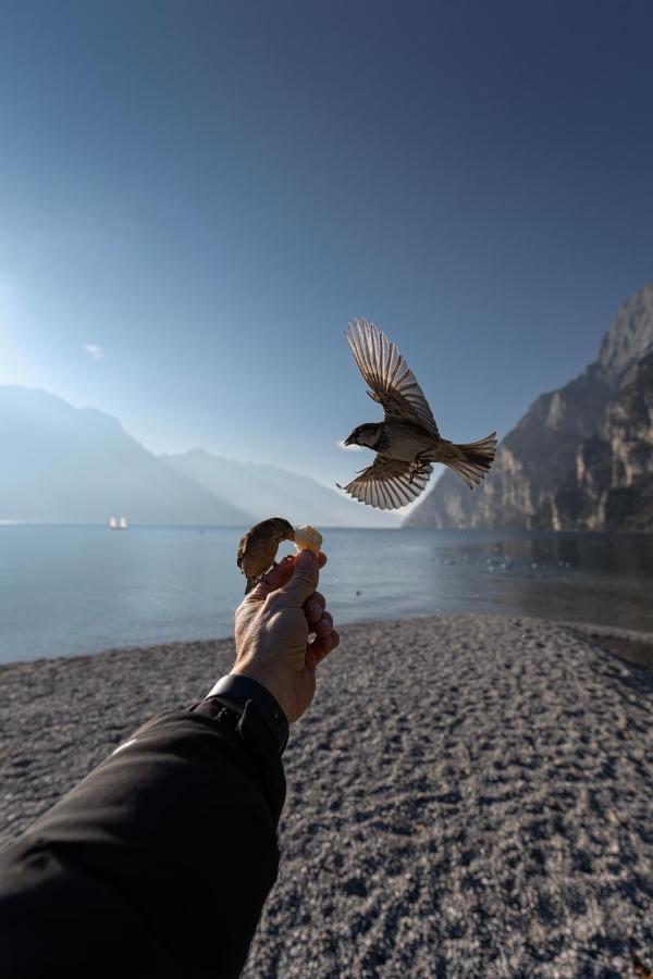 Le Calle Holiday Apartments Torbole Sul Garda Kültér fotó